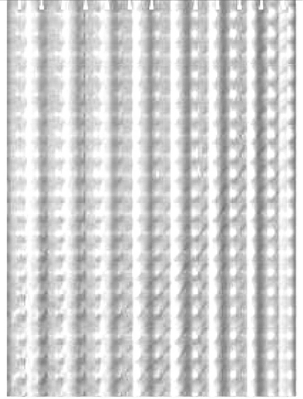 Шторка для ванной полиэтилен F8754, Китай. Страна ввоза  - Китай. Артикул F8754