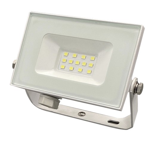 Прожектор светодиодный 10Вт IP65 6500К белый, TruEnergy, арт.13110