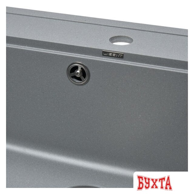 Кухонная мойка Wisent 600-29W (с сифоном GER013) 4