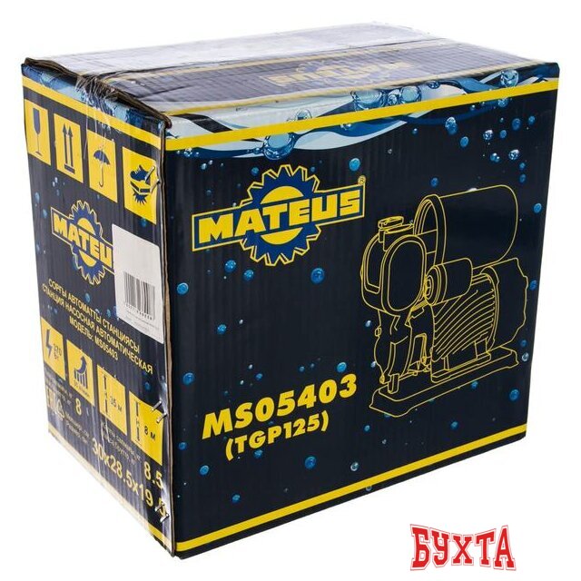 Насосная станция Mateus TGP 125 5