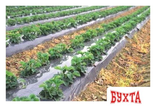 Укрывной материал Техсоюз Полюс Пленка сельскохозяйственная 3