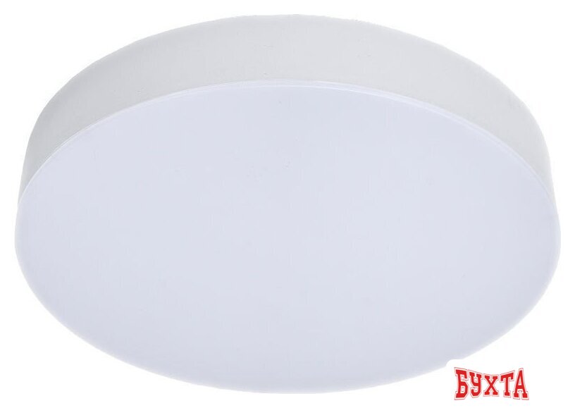 Светильник TruEnergy Aura 11152 2