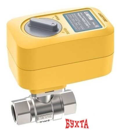 Электрический вентиль Neptun Profi 12 В 1/2