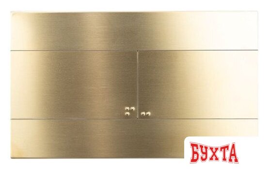 Панель смыва OLI Slim 888565 INOX (золото)