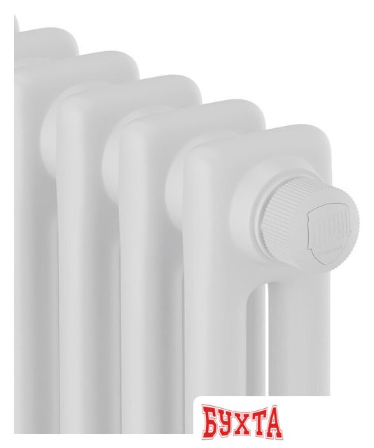 Стальной трубчатый радиатор Royal Thermo Insignia VC2180 - 08 секций RAL9016 3