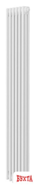 Стальной трубчатый радиатор Royal Thermo Insignia VC3180 - 06 секций RAL9016