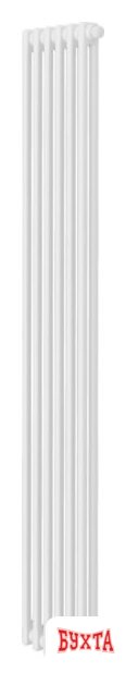 Стальной трубчатый радиатор Royal Thermo Insignia VC2180 - 06 секций RAL9016