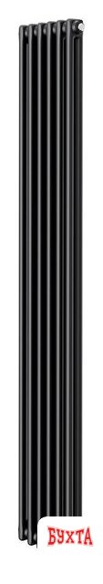 Стальной трубчатый радиатор Royal Thermo Insignia C2180 - 06 секций RAL9005m