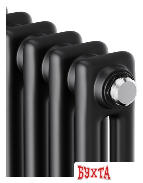 Стальной трубчатый радиатор Royal Thermo Insignia C2180 - 08 секций RAL9005m 3